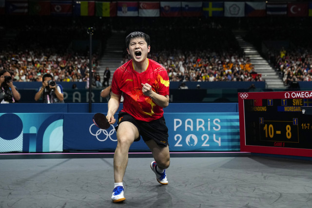 样的临时看, 但樊振东的, 大约需要两 样的临时看, 但樊振东的, 大约需要两