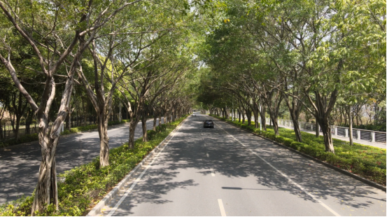 max, OATno max, OATno