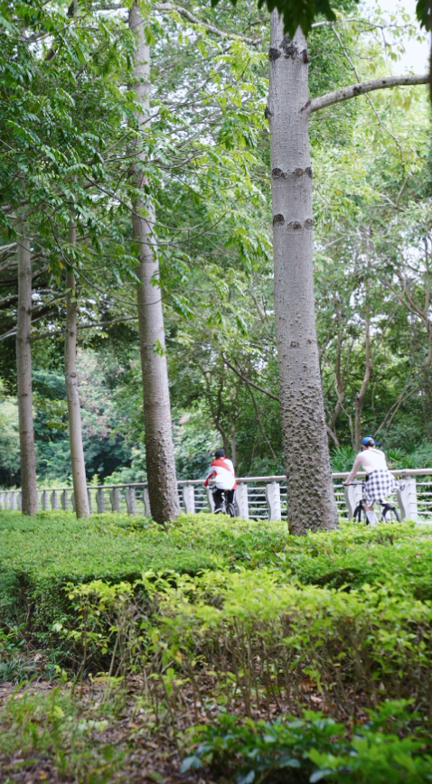 拍照, src 拍照, src