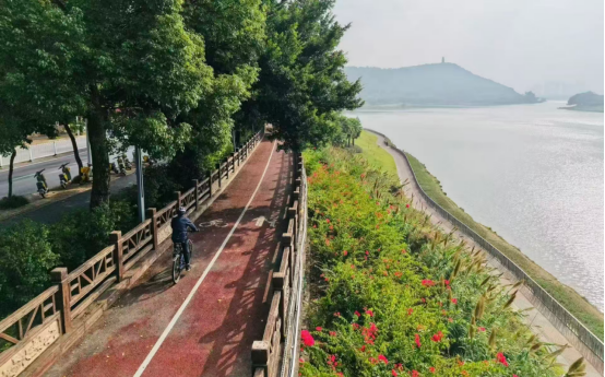 align, AA, wEAhD align, AA, wEAhD