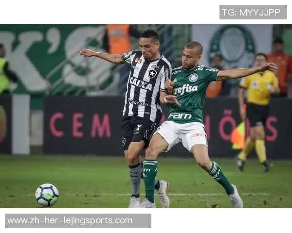 715克鲁塞罗与博塔弗戈的激烈对决精彩回顾与战术分析